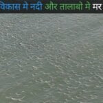 20251213 143718 News E 7 Live