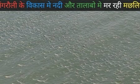 20251213 143718 News E 7 Live