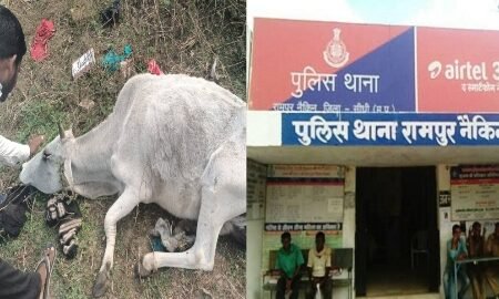 20251215 092103 News E 7 Live