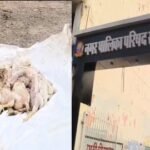 20251215 183341 News E 7 Live