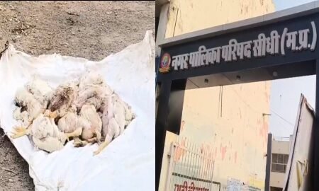 20251215 183341 News E 7 Live