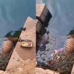 20251217 194020 News E 7 Live