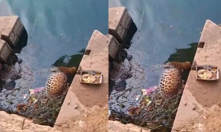 20251217 194020 News E 7 Live