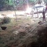 20251221 195109 News E 7 Live