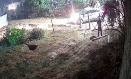 20251221 195109 News E 7 Live