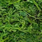 20251228 180558 News E 7 Live