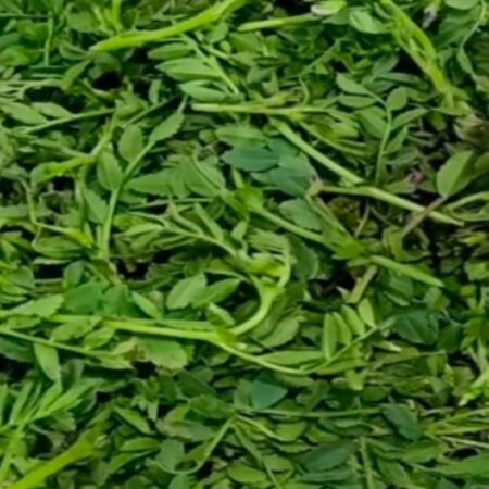 20251228 180558 News E 7 Live