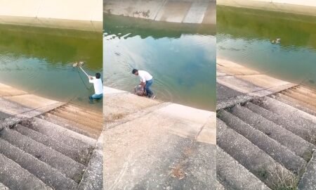 20251229 195636 News E 7 Live