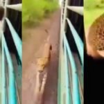 20251230 225848 News E 7 Live