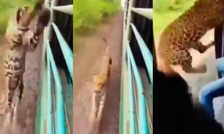 20251230 225848 News E 7 Live