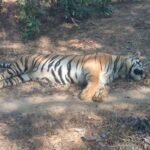 FB IMG 1765619291616 News E 7 Live