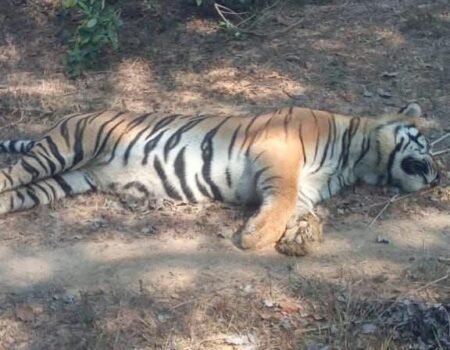 FB IMG 1765619291616 News E 7 Live