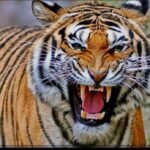 IMG 20251113 WA0002 News E 7 Live