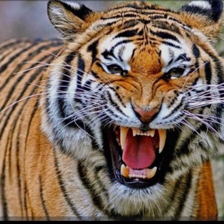 IMG 20251113 WA0002 News E 7 Live