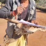 IMG 20251212 WA0013 News E 7 Live