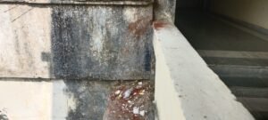 IMG 20251213 WA0027 News E 7 Live