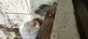 IMG 20251213 WA0028 News E 7 Live