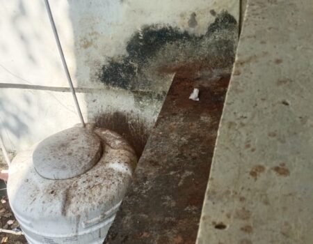 IMG 20251213 WA0028 News E 7 Live