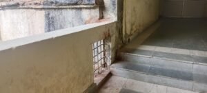 IMG 20251213 WA0029 News E 7 Live