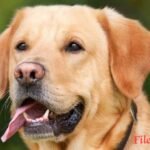 IMG 20251204 174422 News E 7 Live