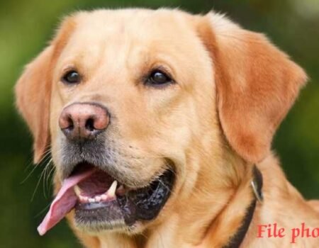 IMG 20251204 174422 News E 7 Live