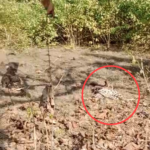 IMG 20251213 160546 News E 7 Live