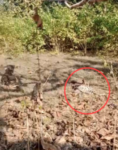 IMG 20251213 160546 News E 7 Live