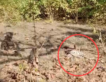 IMG 20251213 160546 News E 7 Live