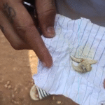 Screenshot 20251207 181956 News E 7 Live