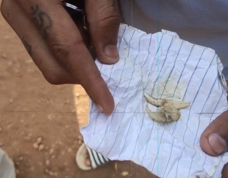 Screenshot 20251207 181956 News E 7 Live