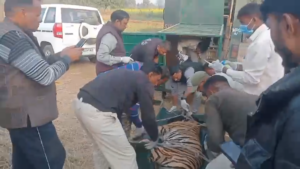 Screenshot 20251226 172156 News E 7 Live