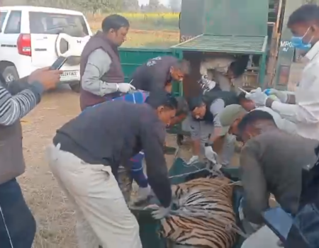 Screenshot 20251226 172156 News E 7 Live