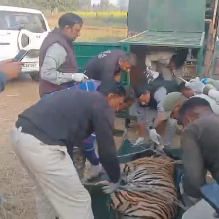 Screenshot 20251226 172156 News E 7 Live