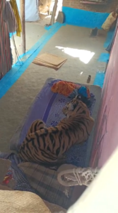 Screenshot 20251229 150349 News E 7 Live