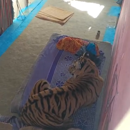 Screenshot 20251229 150349 News E 7 Live