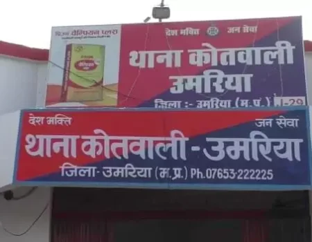 1108221 373 1 News E 7 Live