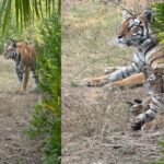 20260105 150443 News E 7 Live