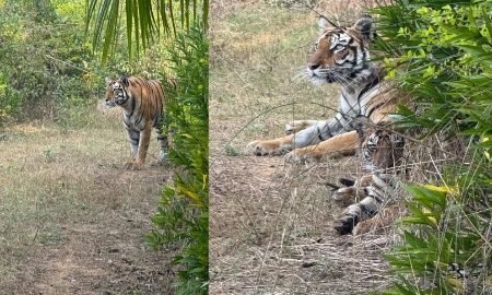 20260105 150443 News E 7 Live