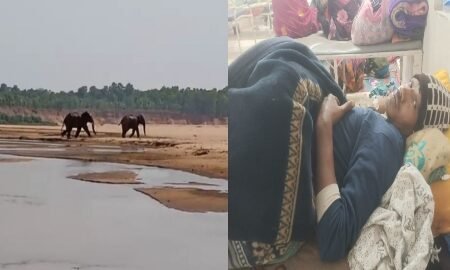 20260108 191710 News E 7 Live