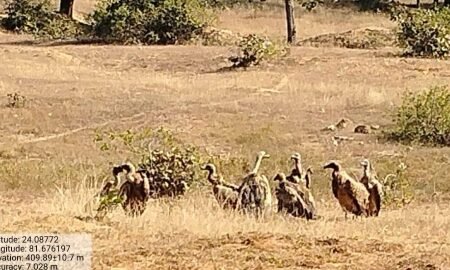 20260111 152009 News E 7 Live