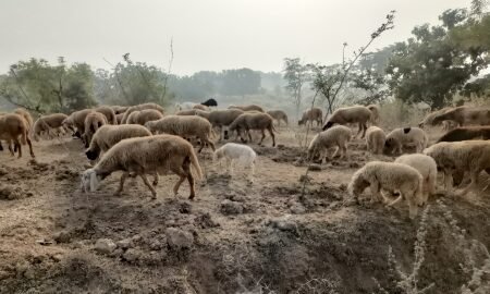 20260111 185446 News E 7 Live