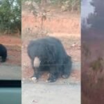 20260112 145046 News E 7 Live