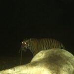 20260115 085804 News E 7 Live