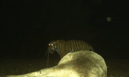 20260115 085804 News E 7 Live