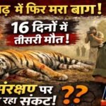 20260117 200858 News E 7 Live