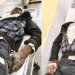 20260123 152309 News E 7 Live