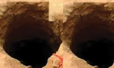 20260124 223912 News E 7 Live