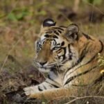 20260127 091821 News E 7 Live