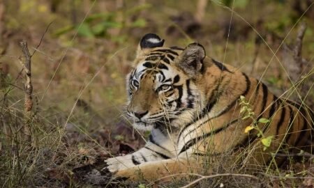 20260127 091821 News E 7 Live