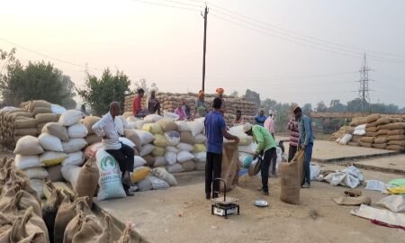 20260128 202051 News E 7 Live